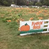 Shuckle's Corn Maze & Pumpkin Patch at Fiddle Dee Farms photo