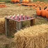 Shuckle's Corn Maze & Pumpkin Patch at Fiddle Dee Farms photo