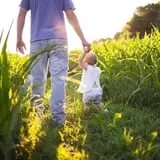 Shuckle's Corn Maze & Pumpkin Patch at Fiddle Dee Farms photo