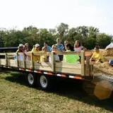 Shuckle's Corn Maze & Pumpkin Patch at Fiddle Dee Farms photo