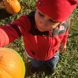 Shuckle's Corn Maze & Pumpkin Patch at Fiddle Dee Farms photo
