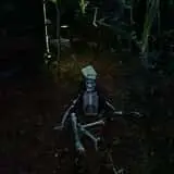 Mill Creek Haunted Woods photo