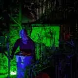 Mill Creek Haunted Woods
