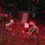 Mill Creek Haunted Woods photo