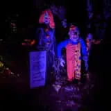 Mill Creek Haunted Woods