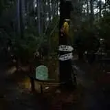 Mill Creek Haunted Woods photo