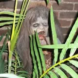 Zombie Girl
