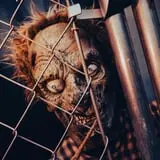 Clinton's Terror On Washington Street Haunted House photo