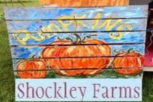 Shockley Farms Corn Maze and Pumpkin Patch