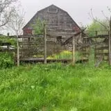 Hell Harvest Haunted House photo