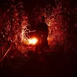 Hell Harvest Haunted House photo