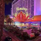 Flamingo Las Vegas Hotel & Casino photo