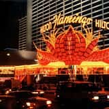 Flamingo Las Vegas Hotel & Casino photo