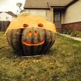 Harnica Kids Pumpkin Farm photo