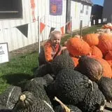 Harnica Kids Pumpkin Farm photo