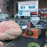 Harnica Kids Pumpkin Farm photo