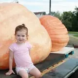 Harnica Kids Pumpkin Farm photo