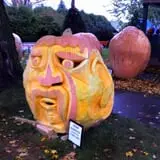 Harnica Kids Pumpkin Farm photo