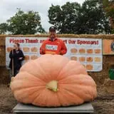 Harnica Kids Pumpkin Farm photo