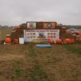 Harnica Kids Pumpkin Farm photo
