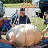 Harnica Kids Pumpkin Farm photo