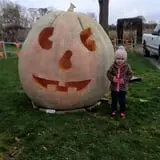 Harnica Kids Pumpkin Farm photo