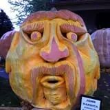 Harnica Kids Pumpkin Farm photo