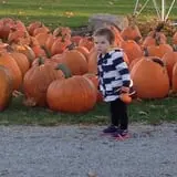 Harnica Kids Pumpkin Farm photo