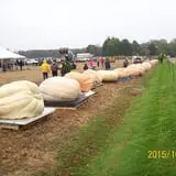 Harnica Kids Pumpkin Farm photo