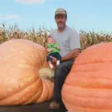 Harnica Kids Pumpkin Farm photo