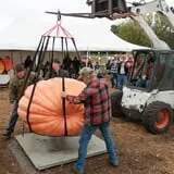 Harnica Kids Pumpkin Farm photo