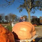 Harnica Kids Pumpkin Farm photo