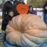 Harnica Kids Pumpkin Farm photo