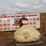 Harnica Kids Pumpkin Farm photo