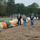 Harnica Kids Pumpkin Farm photo