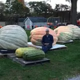 Harnica Kids Pumpkin Farm photo