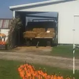 Harnica Kids Pumpkin Farm photo