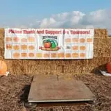 Harnica Kids Pumpkin Farm photo