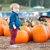 Uncle Shuck's Corn Maze & Pumpkin Patch photo