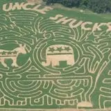 Uncle Shuck's Corn Maze & Pumpkin Patch photo
