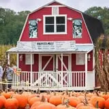 Uncle Shuck's Corn Maze & Pumpkin Patch photo