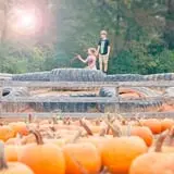Uncle Shuck's Corn Maze & Pumpkin Patch photo