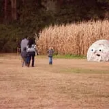 Uncle Shuck's Corn Maze & Pumpkin Patch photo