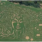 Uncle Shuck's Corn Maze & Pumpkin Patch photo