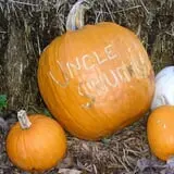 Uncle Shuck's Corn Maze & Pumpkin Patch photo