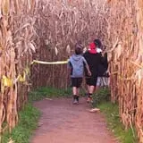 Uncle Shuck's Corn Maze & Pumpkin Patch photo