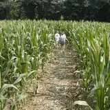 Uncle Shuck's Corn Maze & Pumpkin Patch photo