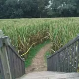 Uncle Shuck's Corn Maze & Pumpkin Patch photo