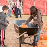 Uncle Shuck's Corn Maze & Pumpkin Patch photo