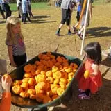 Uncle Shuck's Corn Maze & Pumpkin Patch photo